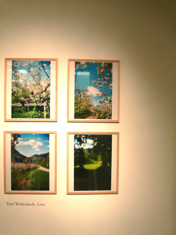 TERRI WEIFENBACH テリ・ワイフェンバック by COLETTE : 写真の鉛筆