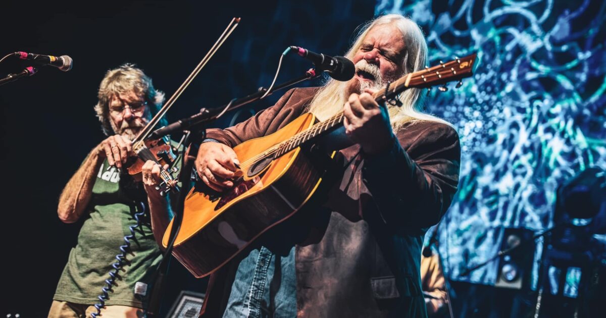 NEVER GONNA WANK DINNER The Swanks 邦楽CD THE SWANKYS / NEVER CAN