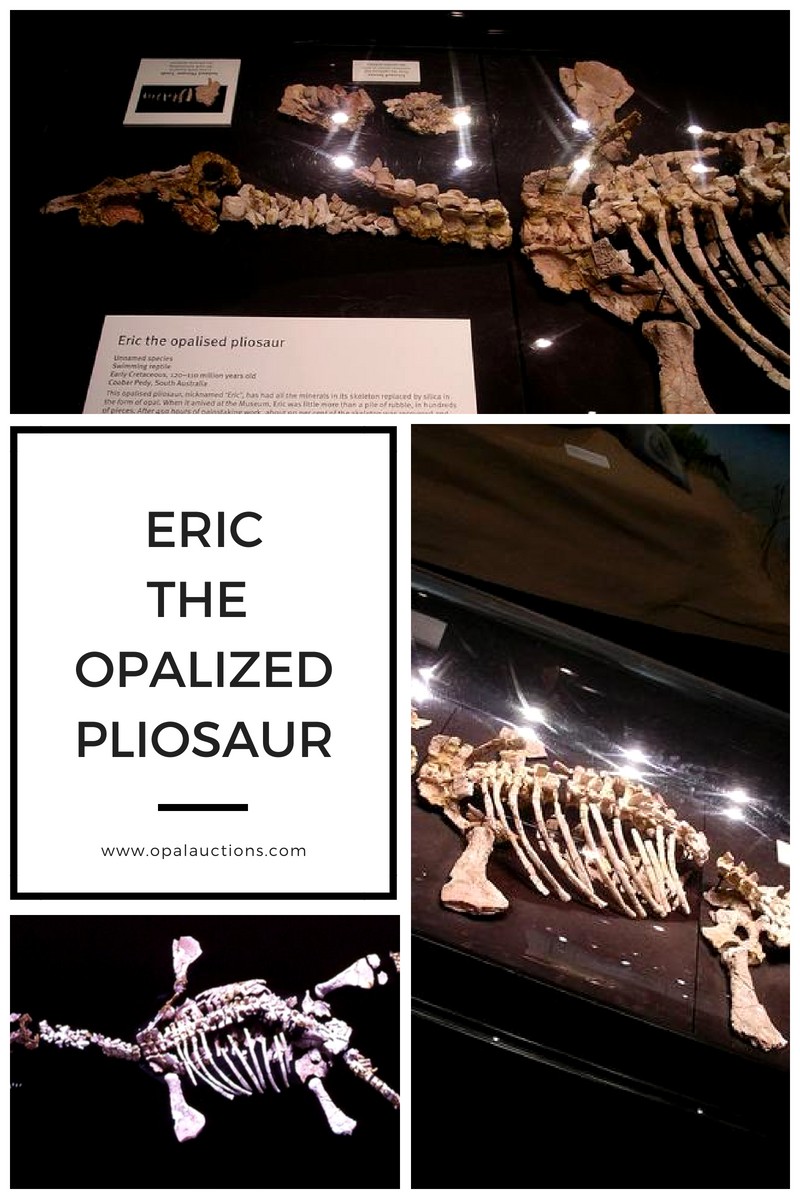 オパール化したプリオサウルスのエリック