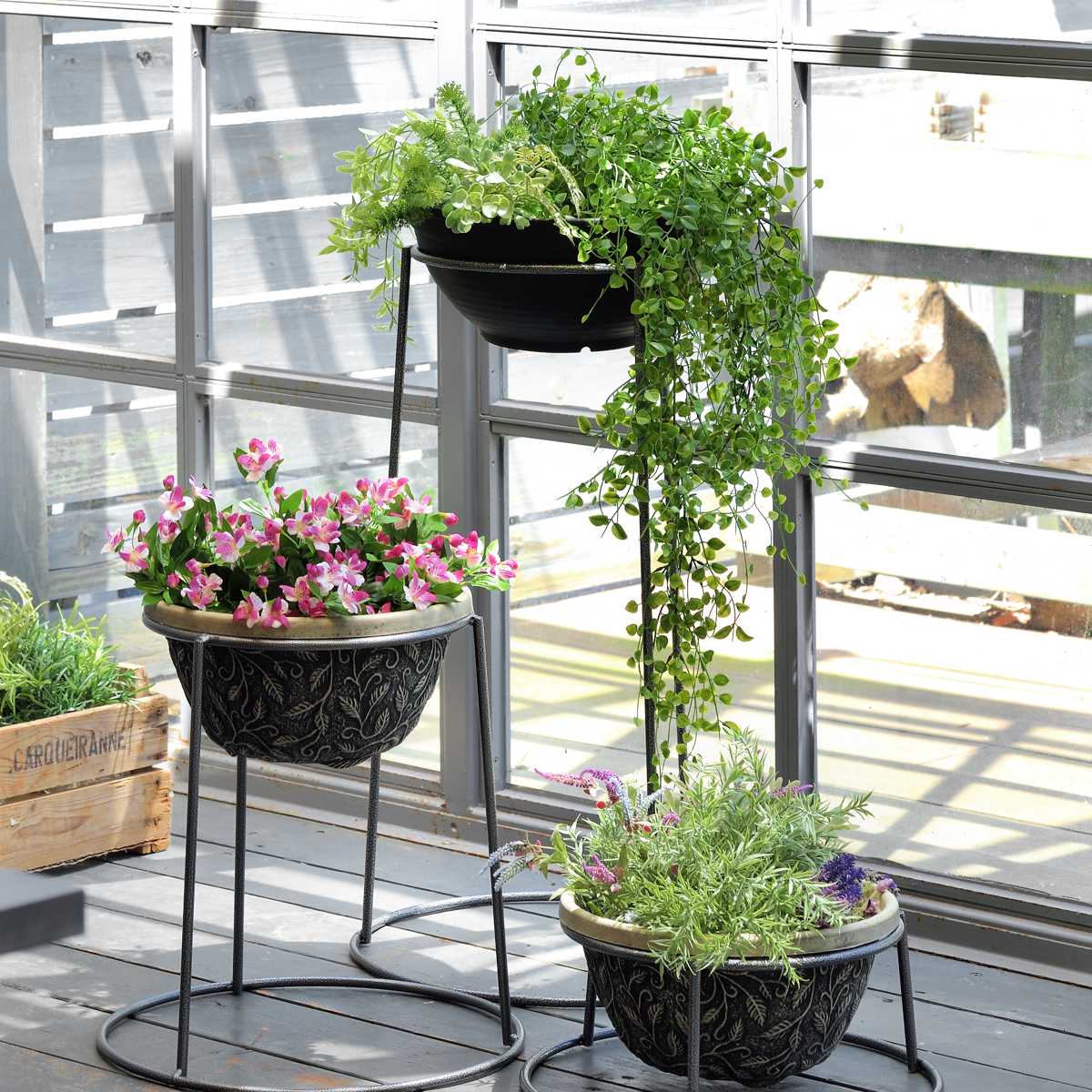 STUDS 03 MatteBlack+ 4.5号 作家鉢 台座付き STUDS 03 MatteBlack+