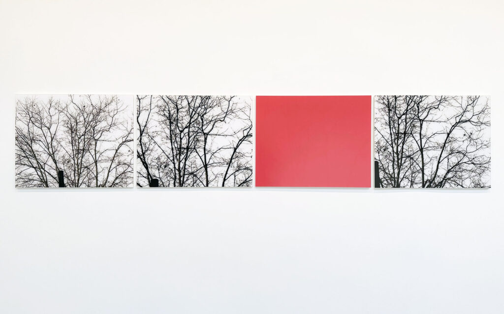 Uta Barth Archives - longlistshort