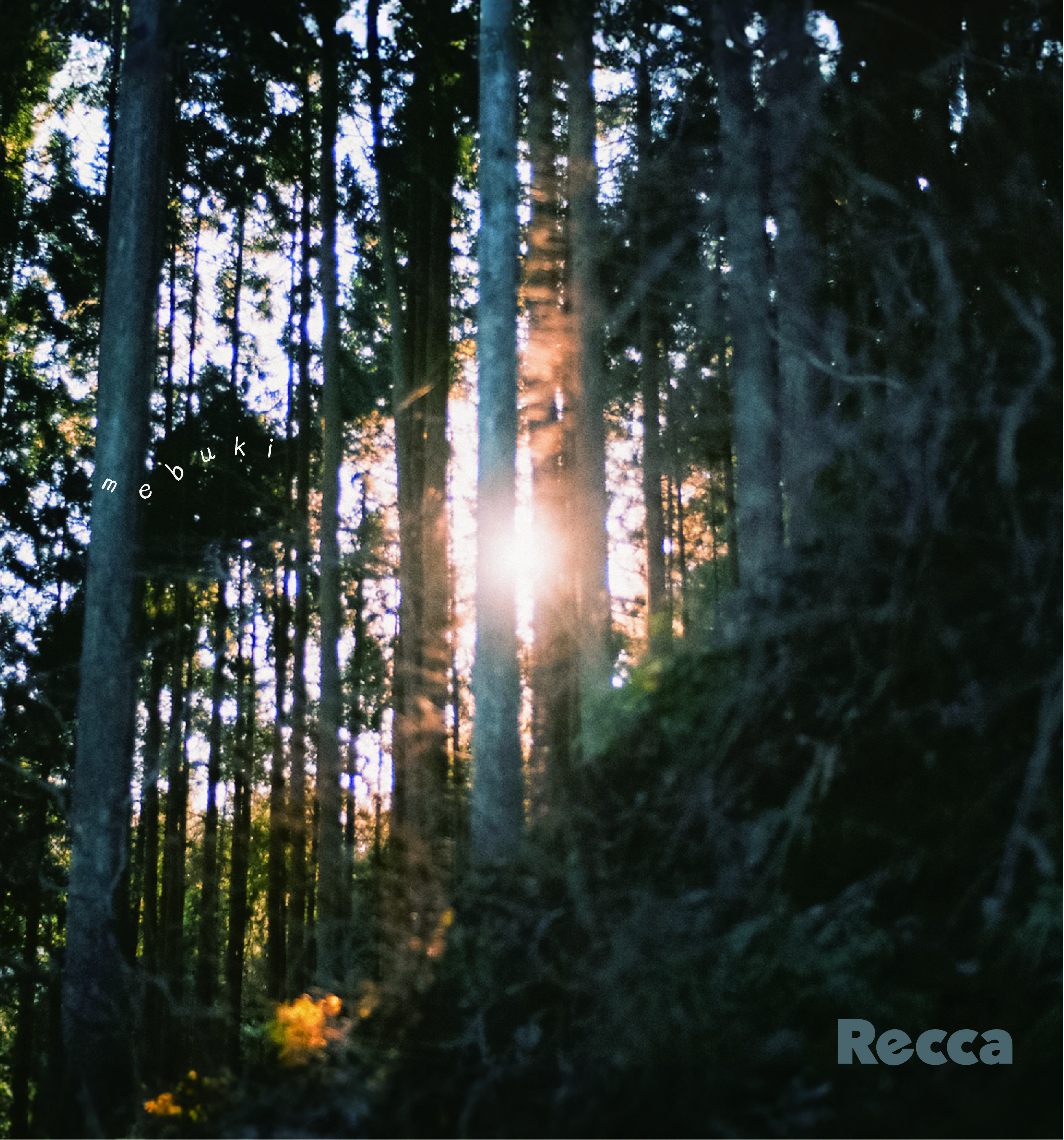 mebuki | Recca | LONG PARTY RECORDS