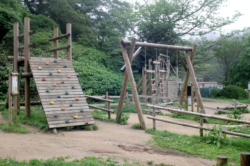 ①シンプルパーチ細め 2本 ②吊り橋ウルトラロング 2個 ③壁