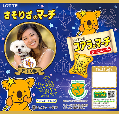 フレーム一覧 | オリジナル コアラのマーチ