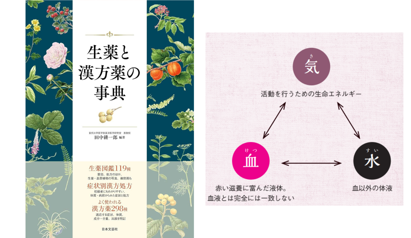 体を構成する気・血・水【生薬と漢方薬の事典】 - ラブすぽ