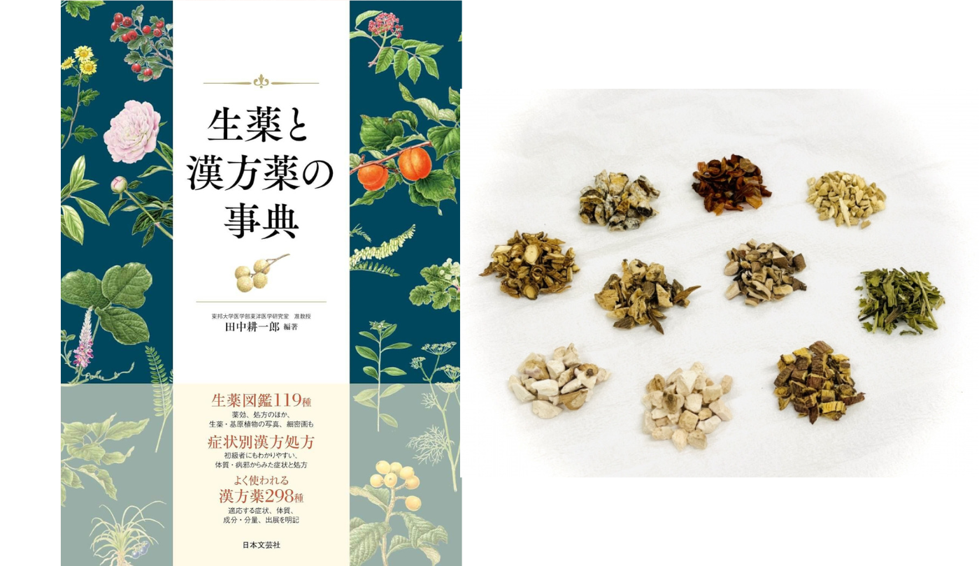 日本の伝統医学「漢方」。検査によって病状を発見する西洋医学との違い