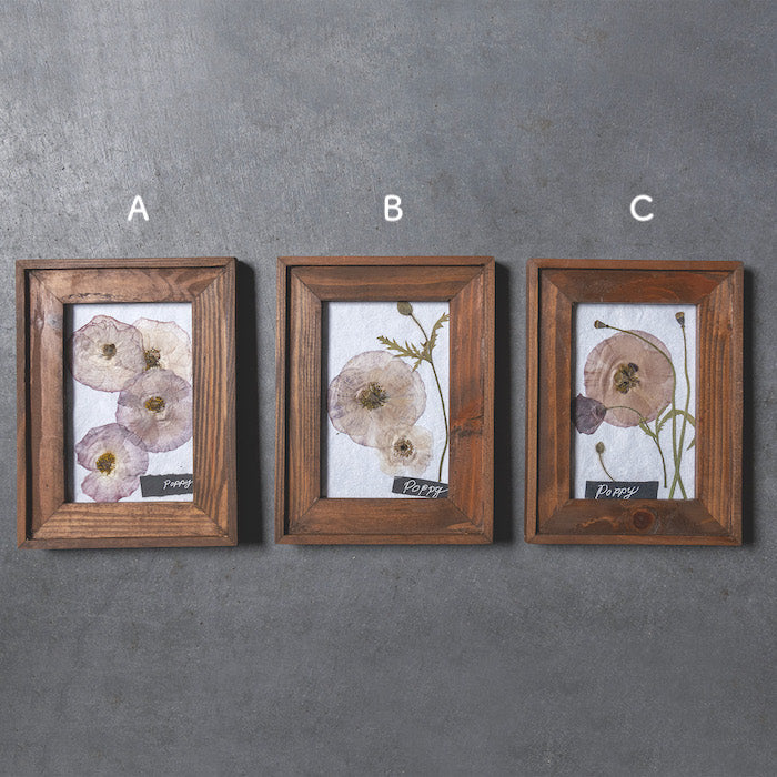 押し花アート 押し花アートフレーム MINI ポピー
