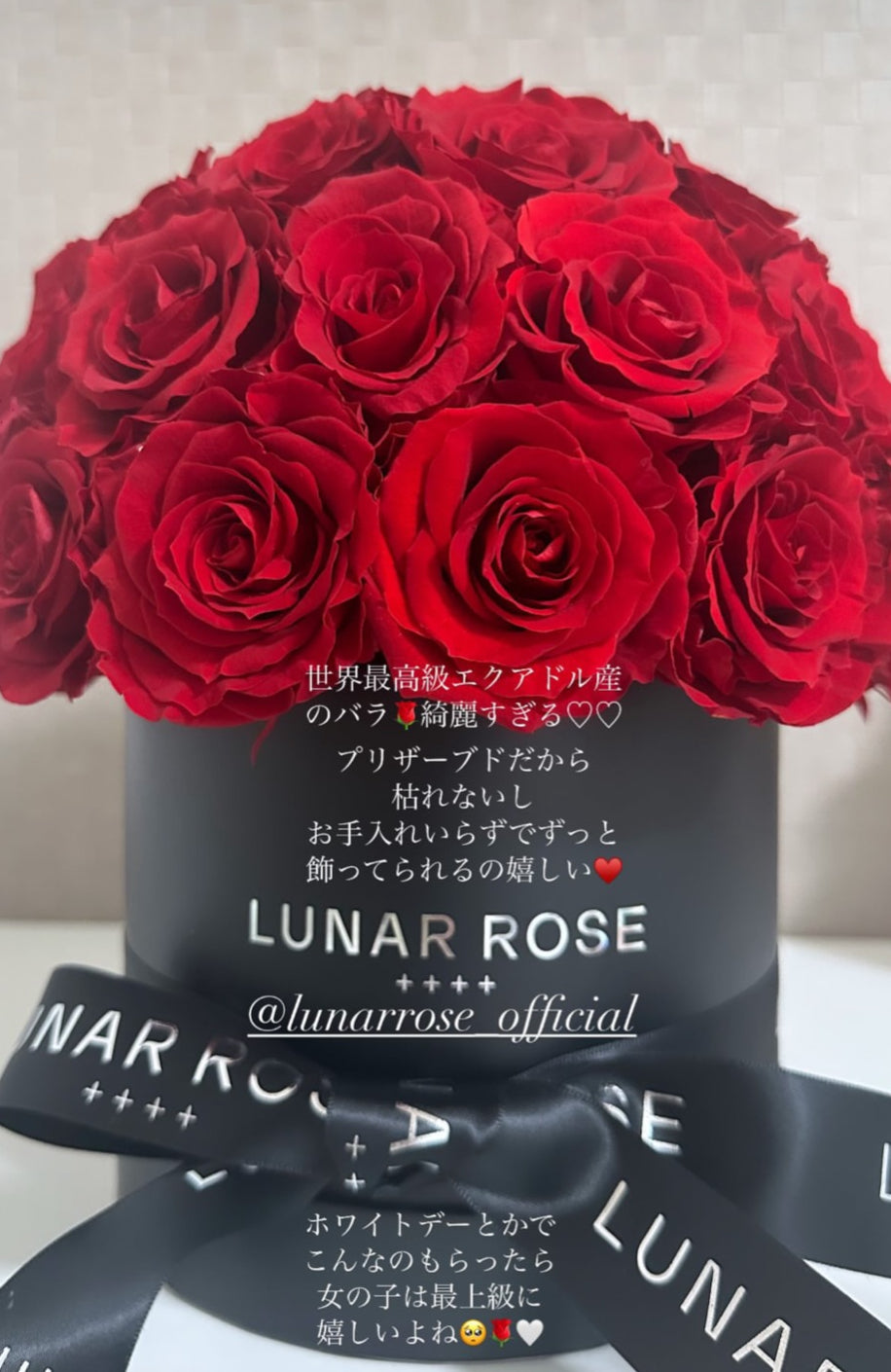 ROSE DOME Red M ｜LUNAR ROSE