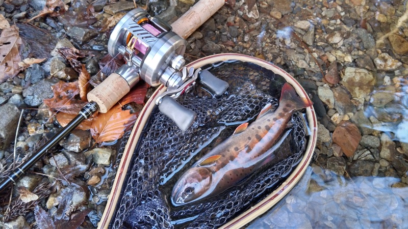 インプレ】パームス エゲリアネイティブ ETVC-46XUL【キャストが楽しい