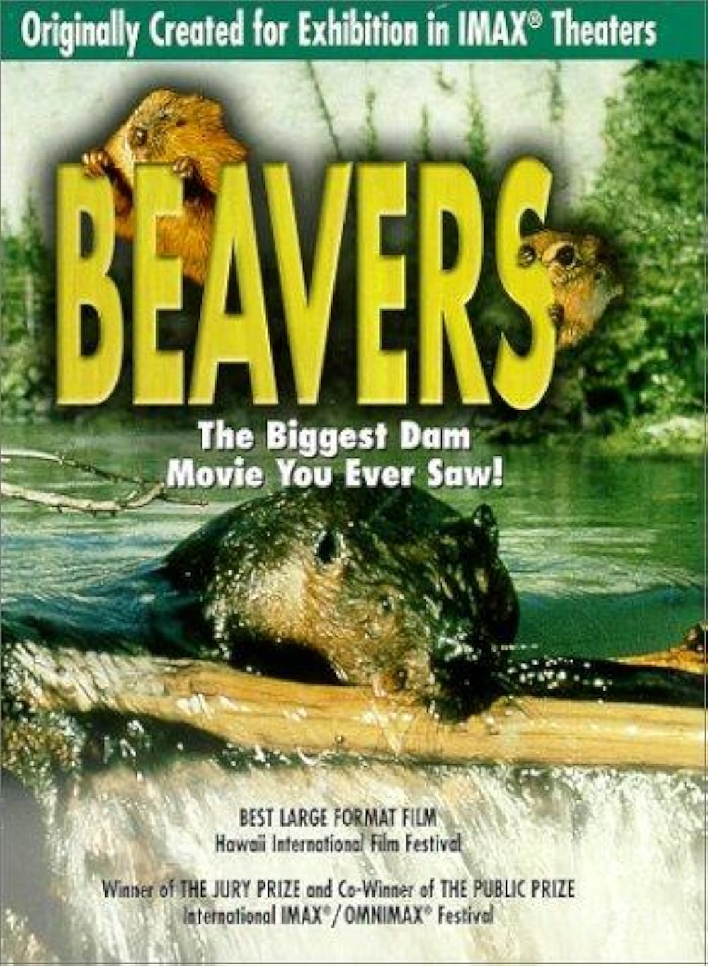Beavers (Short 1988) - User reviews - IMDb