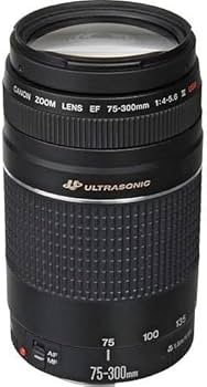 Amazon.co.jp: Canon EFレンズ EF75-300mm F4-5.6 IIIズームレンズ