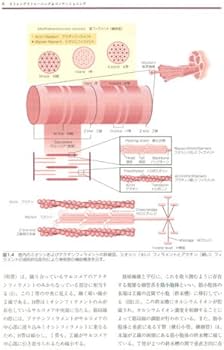 Amazon.co.jp: ストレングストレ-ニング&コンディショニング: NSCA決定