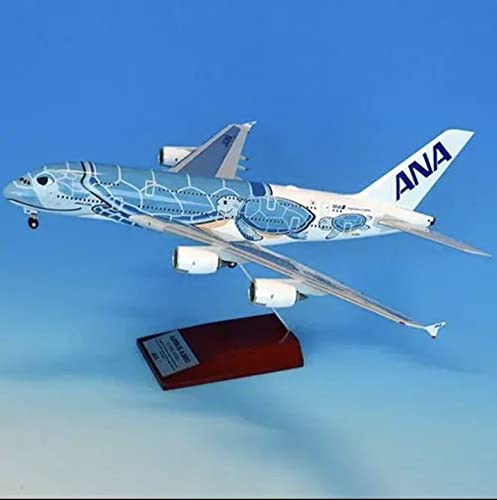 Amazon | ANA HAWAII A380 フライングホヌ 模型 | プラモデル 通販