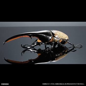 Amazon | いきもの大図鑑プレミアム ヘラクレスオオカブト（ヘラクレス