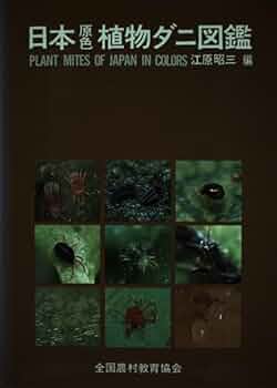 415lkSThZ9L._AC_UF350,