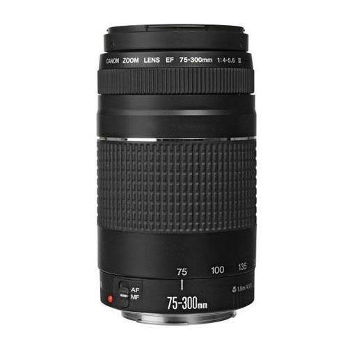 EF75-300mm」の人気商品一覧 | 安い商品を通販サイトから探す - 価格.com