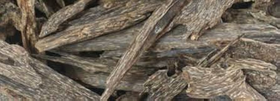 Amazon.co.jp: 300グラム ベトナムナチュラル高油 伽羅 沈香チップ