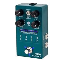 Amazon | FLAMMA FS22ディレイとリバーブギターエフェクトペダルタップ
