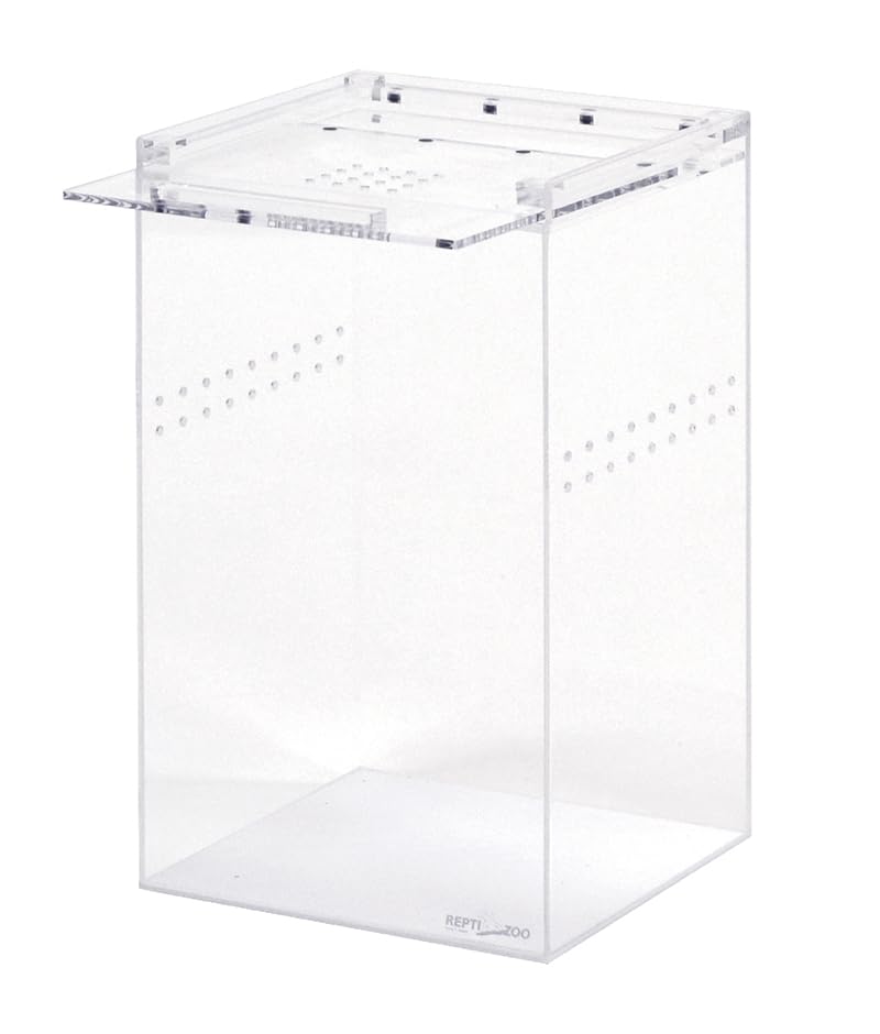 Amazon | 三晃商会 SANKO 爬虫類 両生類 レプタイルボックス ハイ