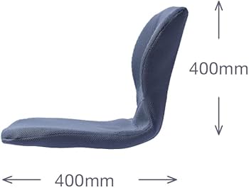 Amazon.co.jp: PINTO W 【正規品】骨を支える腰ラク習慣 疲れを感じ