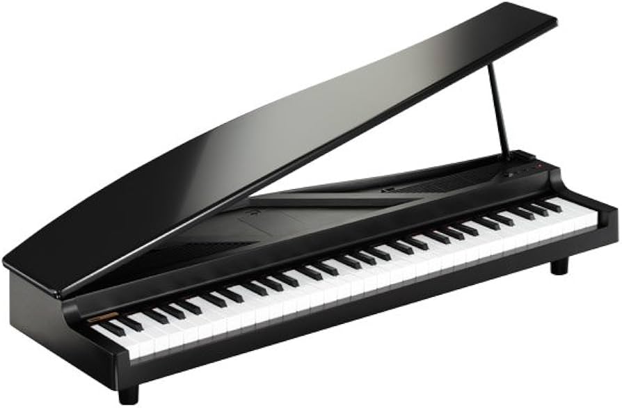 Amazon.com: Korg microPiano 61 - Key Minature Grand Piano, Black