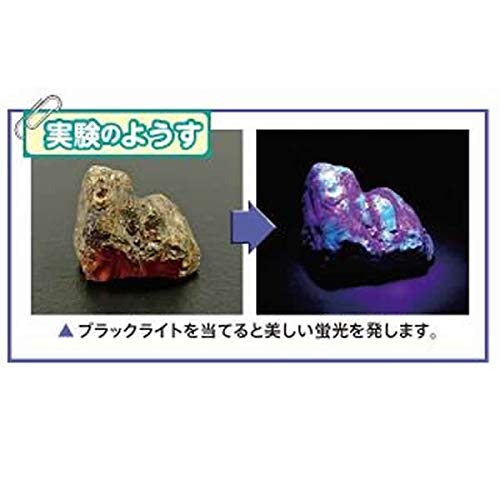 Amazon.co.jp: 蛍光 鉱物セット 光る石の不思議な世界 岩石標本 : おもちゃ