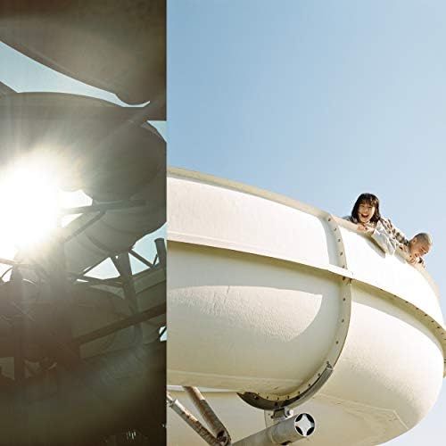 KID FRESINO カネコアヤノ Cats & Dogs 10インチレコード Cats & Dogs