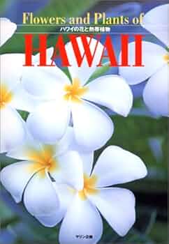 41127GX82ZL._AC_UF350,