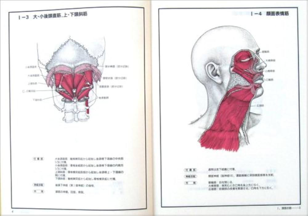 チャートブック骨格筋の解剖 | 川原 群大 |本 | 通販 | Amazon
