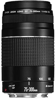 Amazon.com : Canon EF 75-300mm f/4-5.6 III Telephoto Zoom Lens
