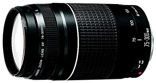 Amazon.com : Canon 75-300mm F4-5.6 III EF Lens (Non-USM) : Camera