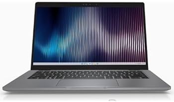 Amazon.com: Dell Latitude 5340 13.3