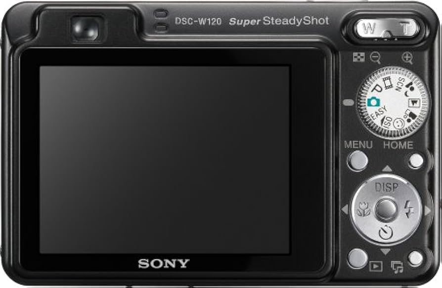 Amazon.com : Sony Cybershot DSCW120/B 7.2MP Digital Camera with 4x