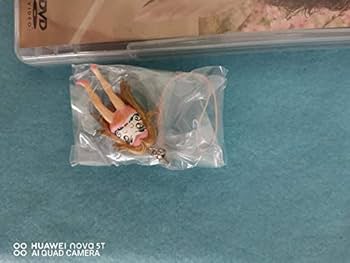 Amazon.co.jp: 水曜どうでしょうDVD第20弾『原付西日本制覇/今世紀最後