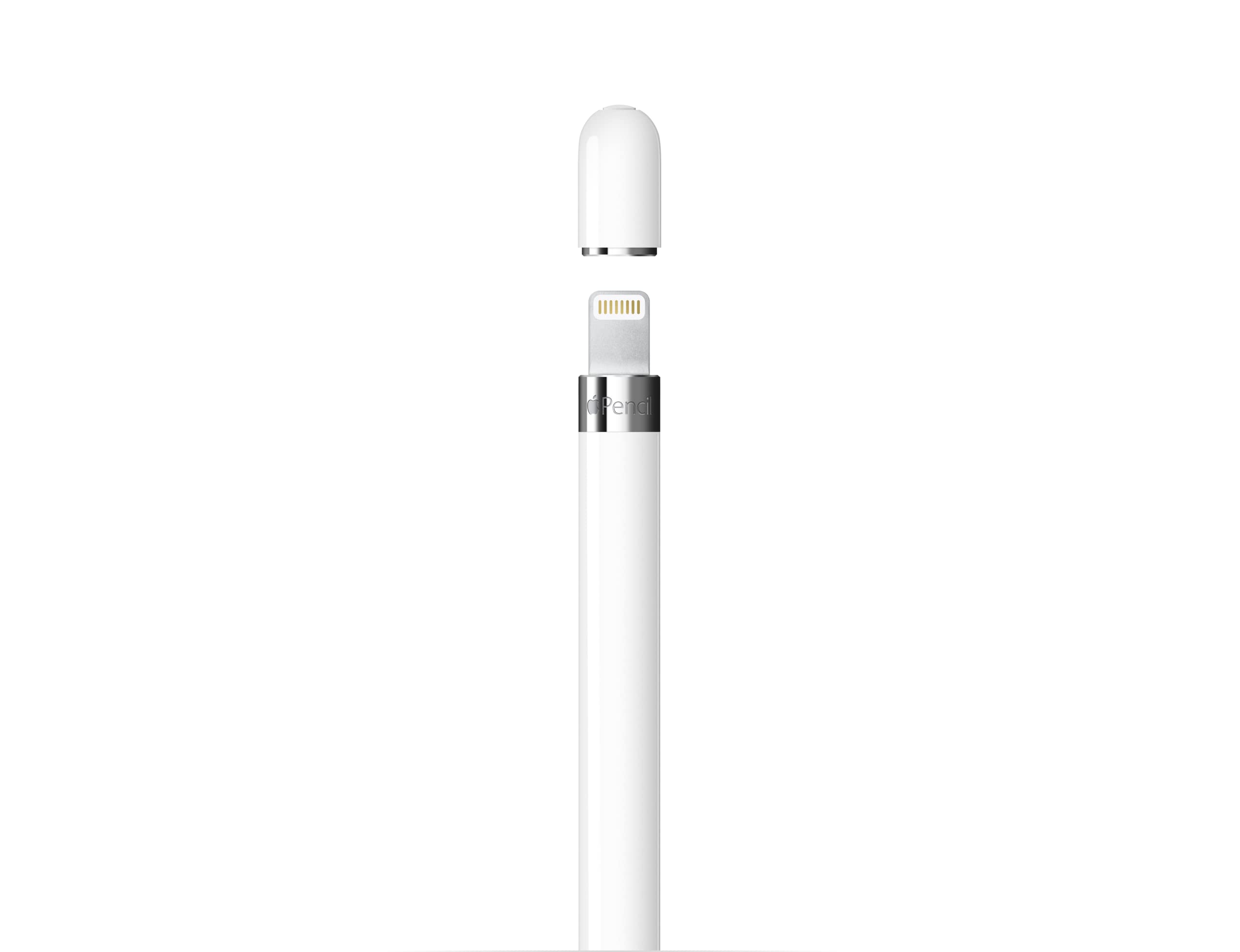 Amazon.in: Buy Apple Pencil (1st Generation) - Includes USB-C to
