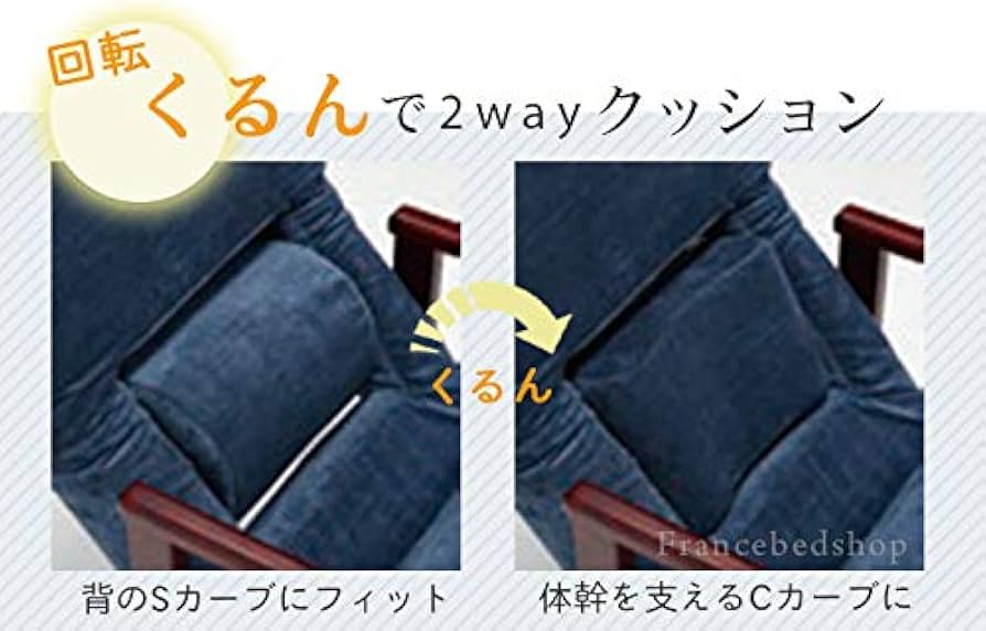 Amazon.co.jp: フランスベッド リハテック 背楽チェア SEC-01・座いす