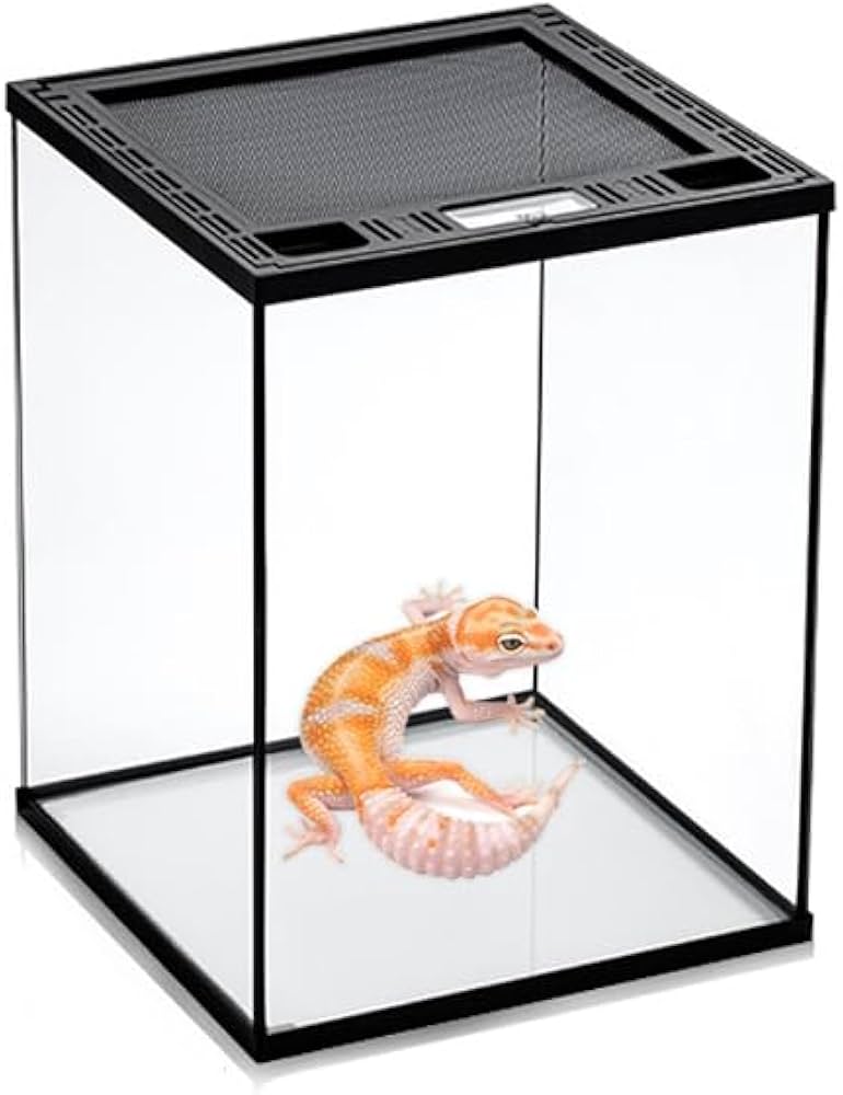 Amazon | 爬虫類 ケージ グラステラリウム 飼育ケース 大 昆虫飼育