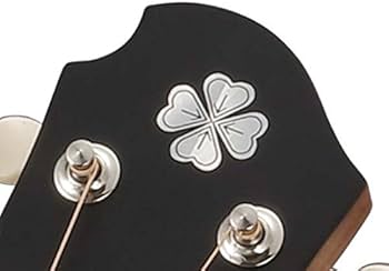 Amazon | ZEMAITIS CAM-LTD ミニアコースティックギター ゼマティス