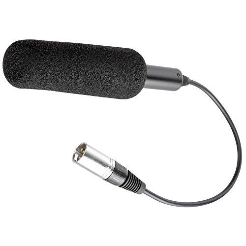 Amazon | Panasonic AG-MC200G microphone | コンデンサ | 楽器・音響機器