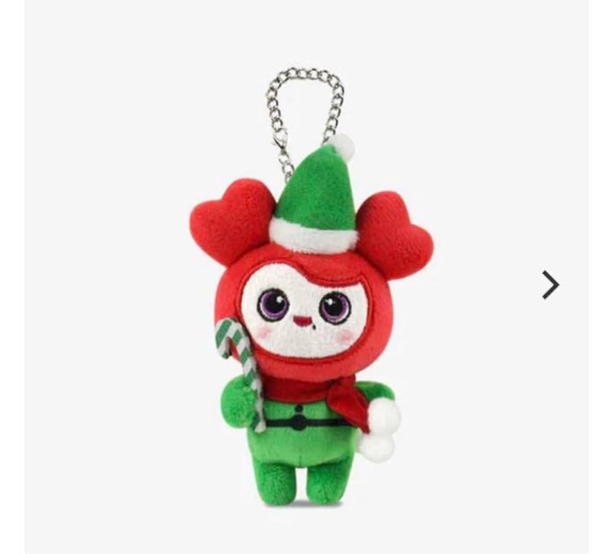 miimさま トレカ付き TWICE チェヨン チェンブリー シリコンライト