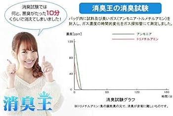 Amazon.co.jp: 消臭王GT-S 液体 無臭 10リットル 嫌な臭いを分解消臭