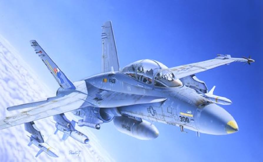 Amazon.com: Italeri 510000016-1:72 F/A-18 C/D Wild Weasel Jet