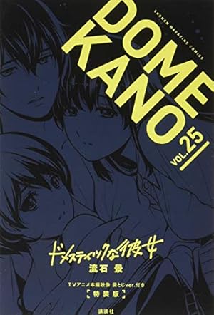 ドメスティックな彼女(28)特装版 (プレミアムKC) | 流石 景 |本 | 通販