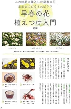 趣味の山野草1月号 | 株式会社栃の葉書房, 株式会社栃の葉書房, 株式