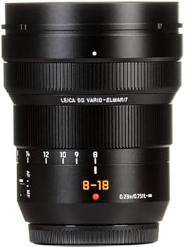 Amazon.com : Panasonic Leica DG Vario-Elmarit 8-18mm f/2.8-4 ASPH