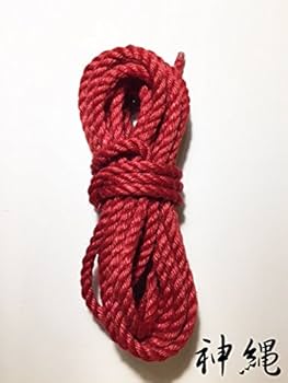 41PM9Uy0HqL._AC_UF350,