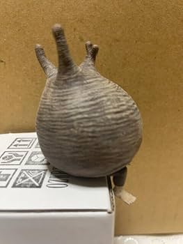 Amazon.co.jp: OZWRT PachypodiuMan Gracilius 2nd SSサイズ