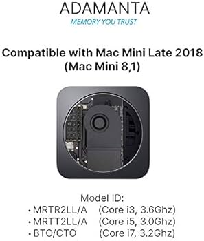 Factory Original 64GB (2x32GB) Memory Upgrade for 2020 & 2019
