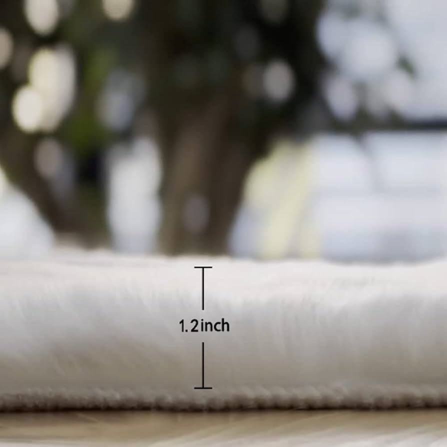 Amazon.com: ORINOVA White Fluffy Living Room Rugs 6x9 Area Rug