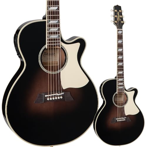 アコースティックギター タカミネ エレアコ」の人気商品一覧 | 安い